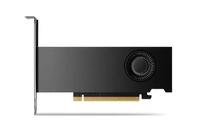 Graphics card Nvidia RTX 2000 Ada 16GB GDDR6 | 900-5G192-2541-000