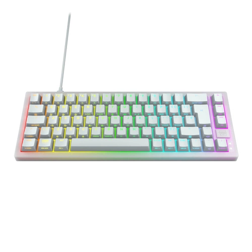 Wired keyboard Cherry K5V2 Compact QWERTZ