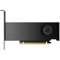 Graphics card Nvidia RTX 2000 Ada 16GB GDDR6 | 900-5G192-2240-000