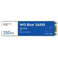 SSD disk Western Digital WD Blue SA510 250GB M.2 2280 TLC | WDS250G3B0B