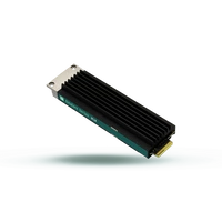 SSD disk Goodram DC10M 960GB E1.S NVMe PCIe 4.0 | GEDC10S100-960NS10B