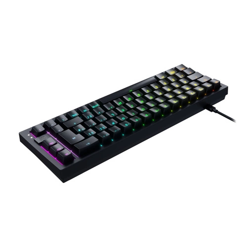 Wired keyboard Cherry K5V2 Compact QWERTZ